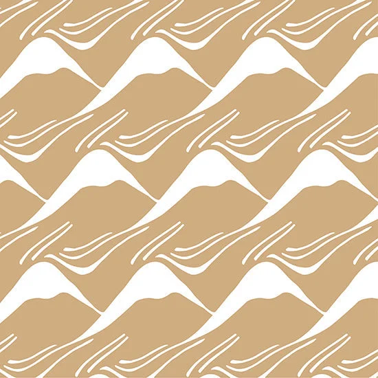 2025_12_30_358039
