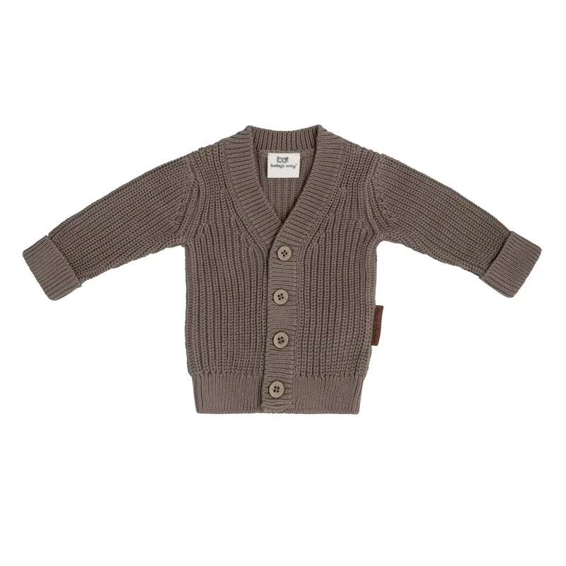 babysonly20251230152120353076