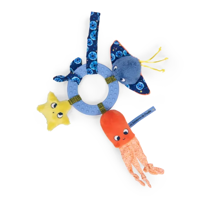 petit-pois20251229173501284960