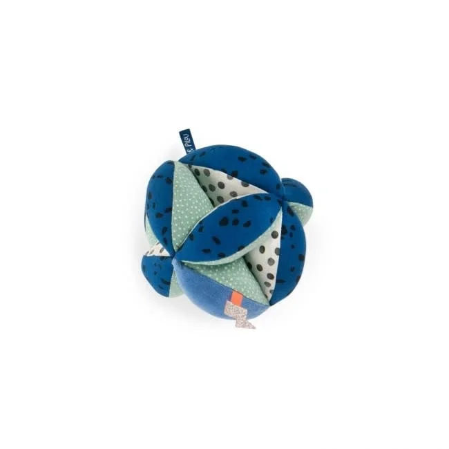 petit-pois20251229173615285413